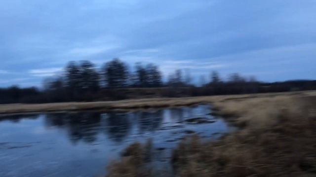 Сааскы кус Чурапчы Эмээки урэх 2019