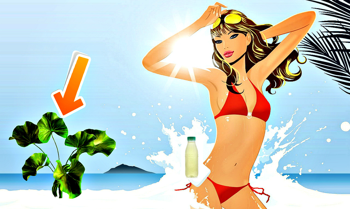 Как бороться с жаждой после соленого в жару. смотреть онлайн