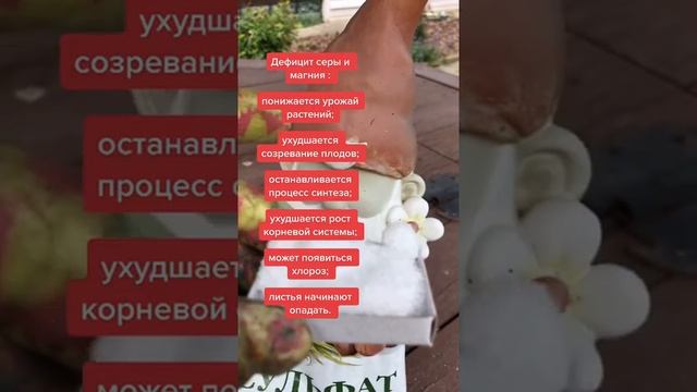 Сульфат магния. Необходимо для растений. смотреть онлайн