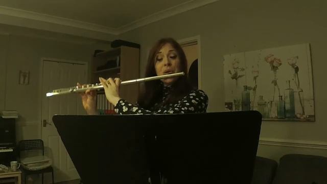 Mozart Flute Concerto No 1, mvt 1 tutorial смотреть онлайн