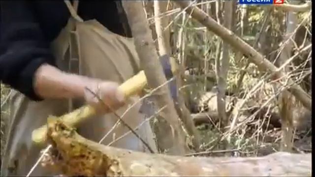 Рейтинг Баженова "Могло быть хуже".Клещи(№12)