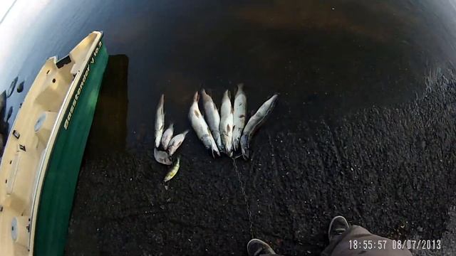 Pêche pike river(2013-07-09)9 смотреть онлайн