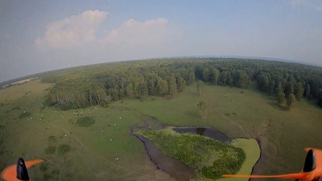 Урочище Агафониха, конец лета.