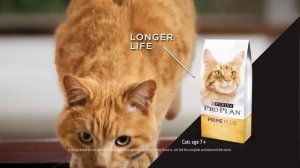 Purina® Pro Plan® Nutrition that Performs®