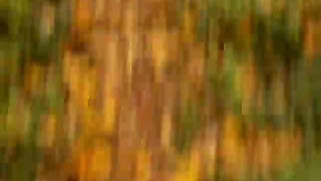 Не выдержало сердце поэта на :((( смотреть онлайн