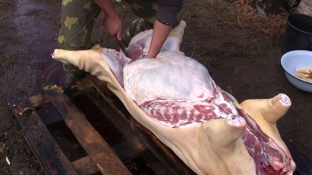 Лучший способ разделки домашней свиньи