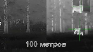 Охота на лося - лосиха и лосенок. Тепловизор Guide ТК451 и тепловизионный прицел Guide TU430