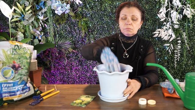 Посадите этот тропический фрукт дома  ❦ Гуайава из семян ❦  Гуава фрукт смотреть онлайн