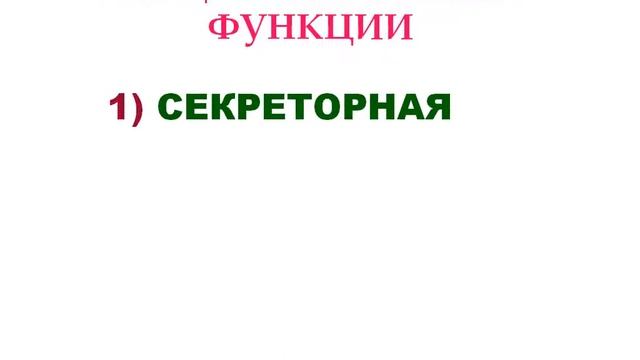 «Физиология пищеварения»