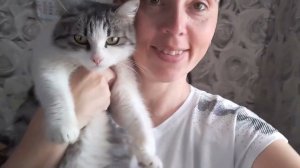 180/Мотивация на уборку/Мою окна/Посадила помидоры на рассаду