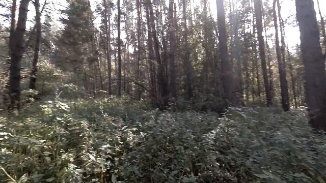 Богданиха (3) смотреть онлайн