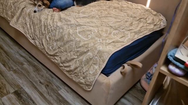 Отзыв Ульяны мягкие стеновые панели смотреть онлайн