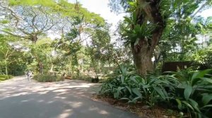 Singapore Zoo Walk Tour|World Best Singapore Zoo Top Attractions