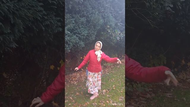 Погода во Фленсбургском Фьорде + упражнение йоги для осени смотреть онлайн