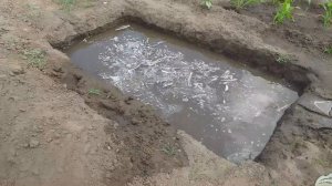 Эксперимент с дренажем почвы