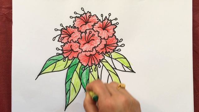How to Draw and Colour लालीगुराँस (Rhododendron) with Crayons and Marker Pens смотреть онлайн