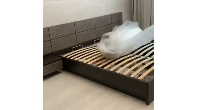 Распаковка беспружинного матраса EcoMily смотреть онлайн