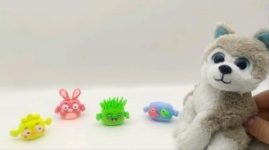 Четверо в кубе из воздушного пластилина лепим с щенком Митей