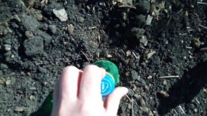 Посадили капусту, как показывали на канале Юлии Миняевой.