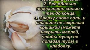 Как я храню чеснок зимой. Чеснок будто только с грядки. Как правильно хранить чеснок.