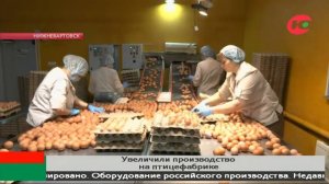 «Птицефабрика Нижневартовская» увеличила производство на 25%