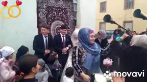 туйи Абу Бакр