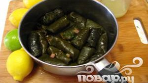 Вегетарианская долма