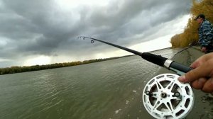 Великолепная Обь 2020. Часть 1. Осенний сазан, язь, лещ. рыбалка на крокодилы. Мы ждали не зря!