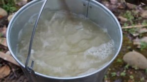 Обработка айвы от вредителей