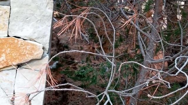 ЗАЗЕМЛЕНИЕ ДЛЯ ЧАСТНОГО ДОМА И ДАЧИ СВОИМИ РУКАМИ