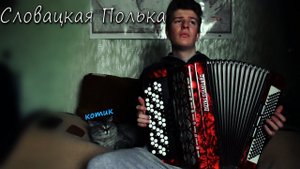 Словацкая Полька На Баяне (И Котик)