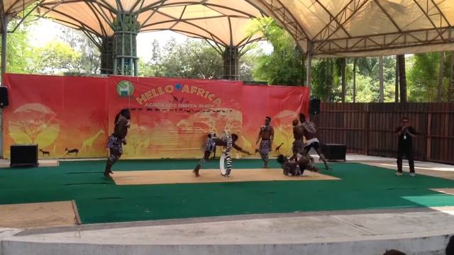 Amazing Acrobatic Kenya Show 2017 @Dusit Zoo Bangkok 2/3 смотреть онлайн