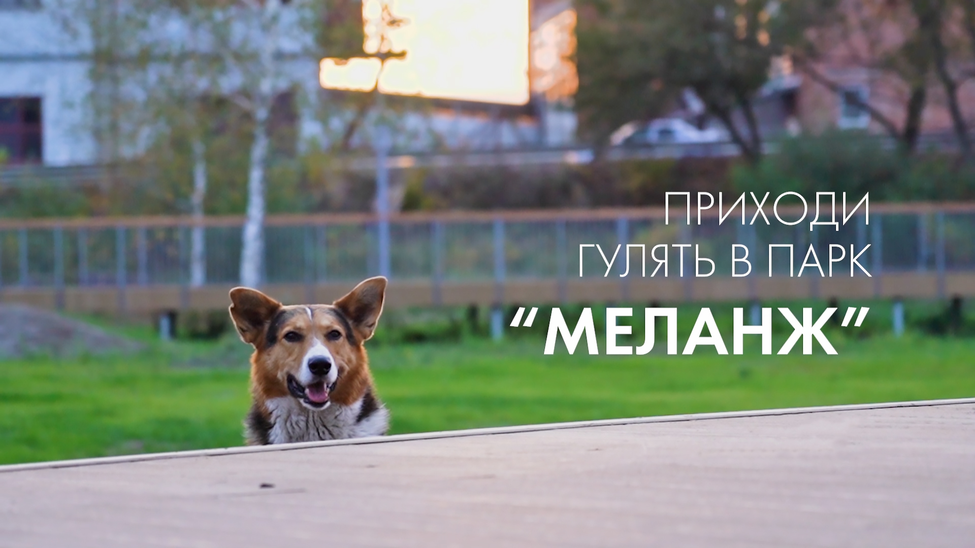 Несмотря на прохладную погоду в парке «Меланж» в городе Куровское гуляет много жителей