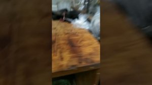 Как выкрутить заломоный болт коленвала.грм опель 1.4