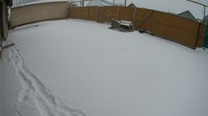 ТЕСТ ДЕШЕВЫХ РЫБАЦКИХ САПОГ ЗА 550 РУБЛЕЙ...САПОГИ AMAROK