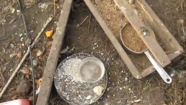 Жизнь кур при минус 30 градусов зимой смотреть онлайн