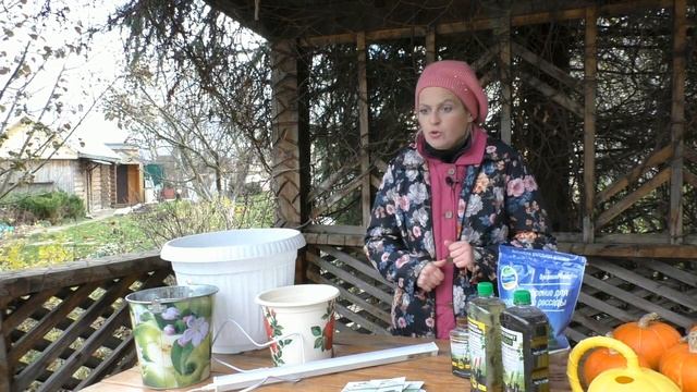 ОГОРОД НА ОКНЕ: ЧТО НЕОБХОДИМО И КАК СДЕЛАТЬ!