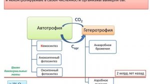 Происхождение и эволюция микроорганизмов