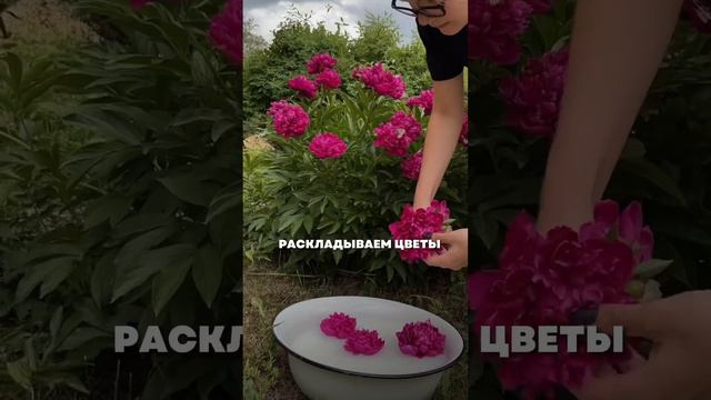 Сохраняй идею для видео 🌸