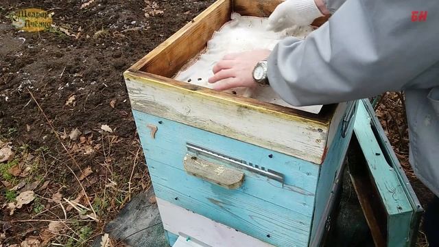 пчеловодство. контроль зимовки канди повторная дача канди смотреть онлайн