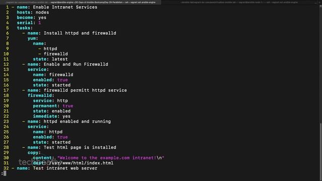 Ansible Parallelism - Fork and Serial | techbeatly