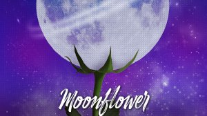 Лунный цветок | Moonflower