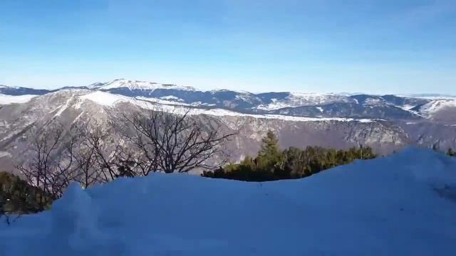 Аренда квадроциклов