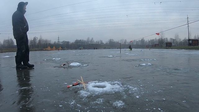 ЛОВЛЯ ФОРЕЛИ НА ИКРУ НА ПЛАТНИКЕ смотреть онлайн