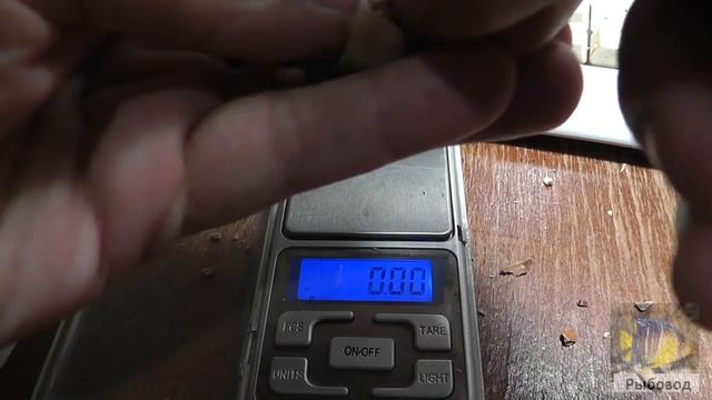 Сравнение плодов фундука 6 сортов ! Comparison of hazelnuts 6 varieties смотреть онлайн