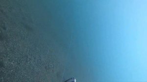 ПОДВОДНАЯ ОХОТА ЧЕРНОЕ МОРЕ
