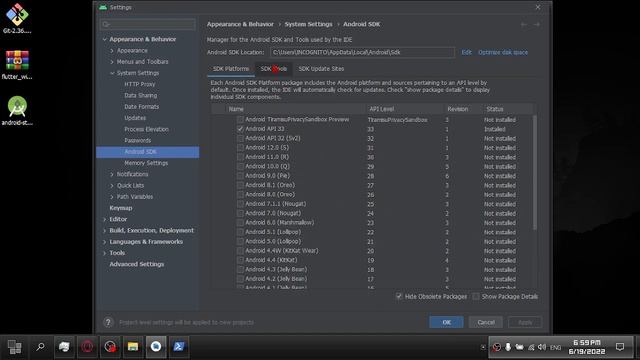 ?Flutter Installation