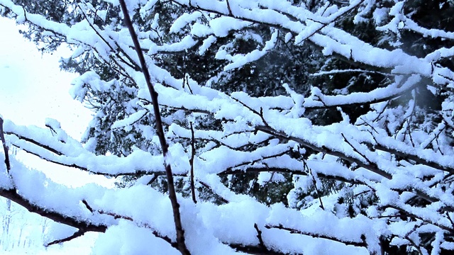 Волшебная  ЗИМА и приятная музыка. смотреть онлайн