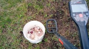 Ищу грибы металлоискателем.