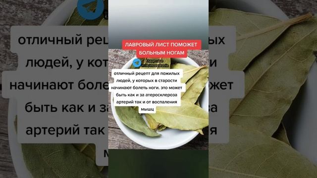 лавровый лист поможет больным ногам #народнаямедицина #зож #здоровьеидолголетие #здоровье